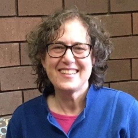 Picture of a woman with medium length curly brown hair, wearing glasses and a blue shirt. 